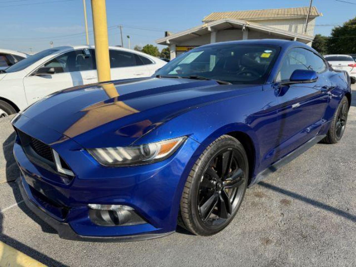 2016 BLUE Ford Mustang EcoBoost Premium Coupe (1FA6P8TH3G5) with an 2.3L L4 DOHC 16V engine, located at 2715 W Pioneer Pkwy, Arlington, TX, 76013, (817) 265-9009, 32.710262, -97.153236 - Photo#2