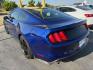 2016 BLUE Ford Mustang EcoBoost Premium Coupe (1FA6P8TH3G5) with an 2.3L L4 DOHC 16V engine, located at 2715 W Pioneer Pkwy, Arlington, TX, 76013, (817) 265-9009, 32.710262, -97.153236 - Photo#7